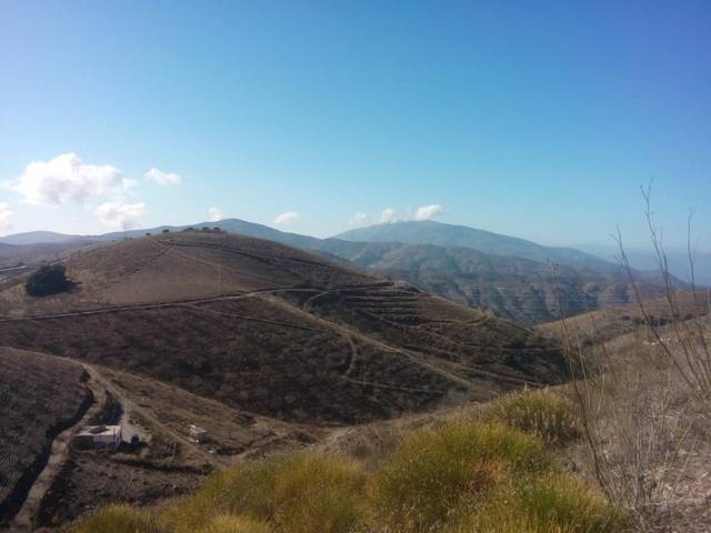 imagen 1 de Venta de finca en Torvizcón (Granada)