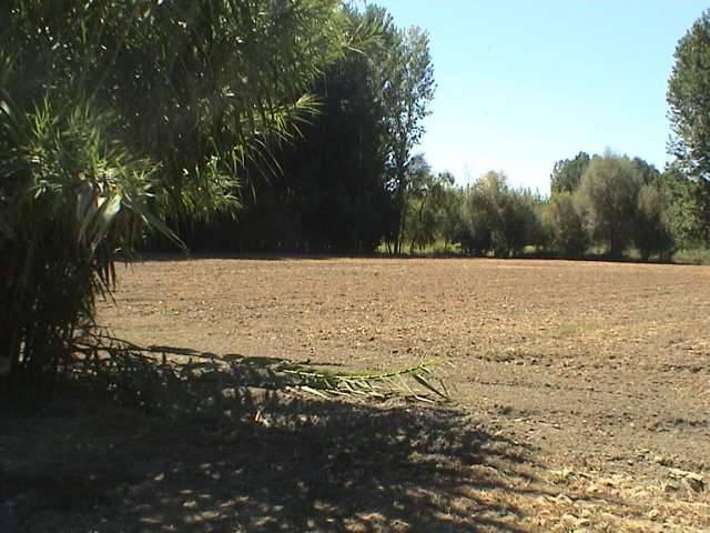 imagen 1 de Venta de finca en Fuente Vaqueros (Granada)