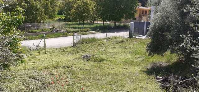 imagen 1 de Venta de parcela en Jadraque (Guadalajara)
