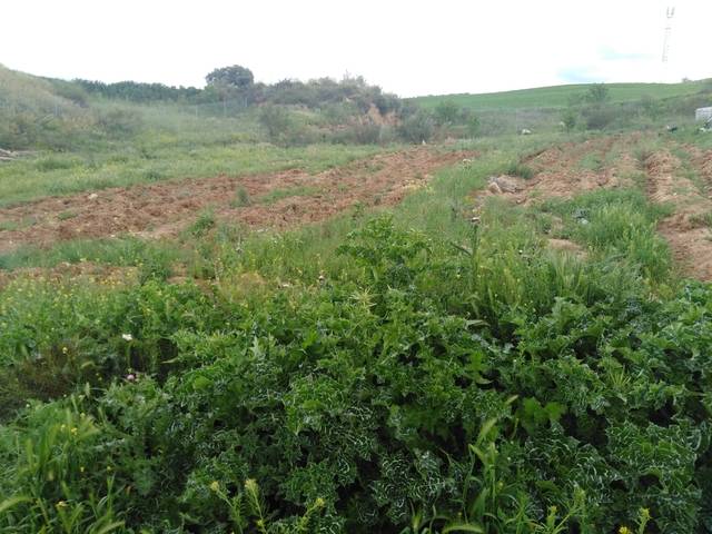 imagen 1 de Venta de terreno en Pozo de Guadalajara (Guadalajara)