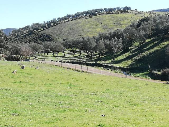 imagen 1 de Venta de estupenda finca en Cumbres Mayores (Huelva)