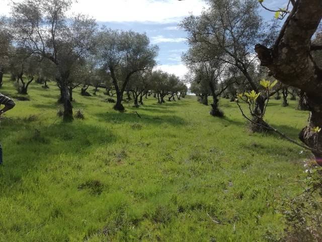 imagen 1 de Venta de preciosa finca en Cumbres Mayores (Huelva)