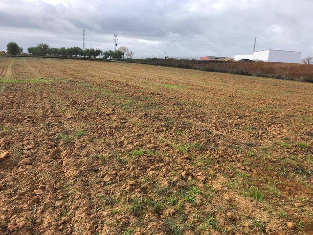 imagen 1 de Venta de finca en Chucena (Huelva)