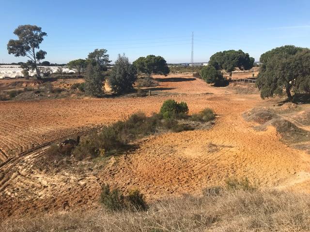 imagen 1 de Venta de campo en Lepe (Huelva)