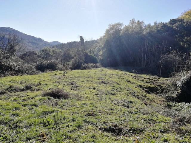 imagen 1 de Venta de finca en Jabugo (Huelva)