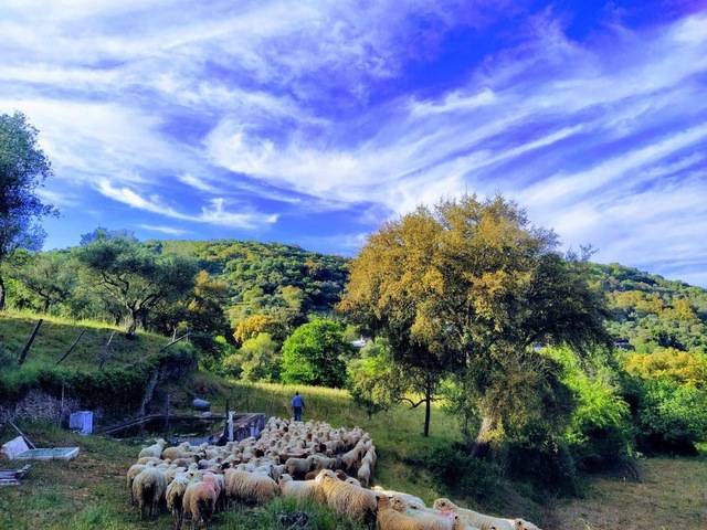 imagen 1 de Venta de estupenda finca en Aracena (Huelva)