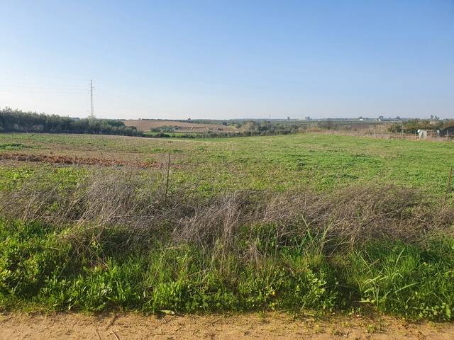 imagen 1 de Venta de finca en Almonte (Huelva)
