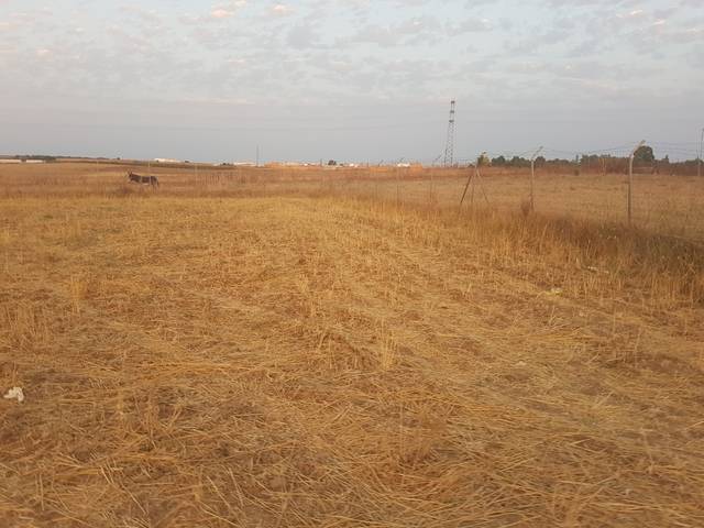imagen 1 de Venta de terreno en Almonte (Huelva)