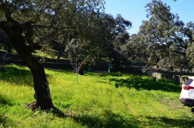 imagen 1 de Venta de preciosa finca en Arroyomolinos de León (Huelva)