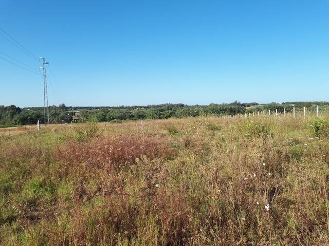 imagen 1 de Venta de finca en Almonte (Huelva)