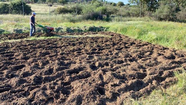imagen 1 de Venta de fincas en Beas (Huelva)