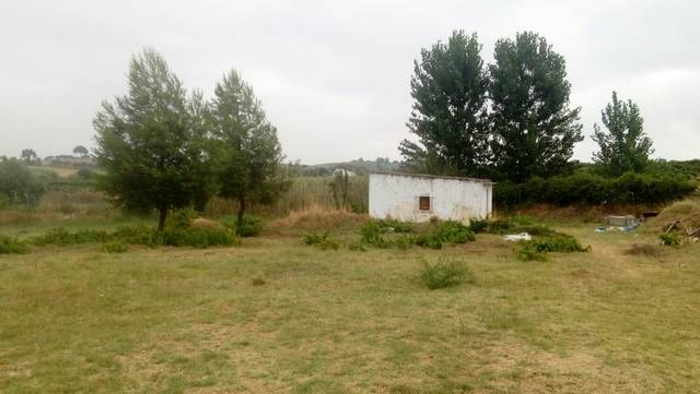 imagen 1 de Venta de finca en Bollullos Par del Condado (Huelva)