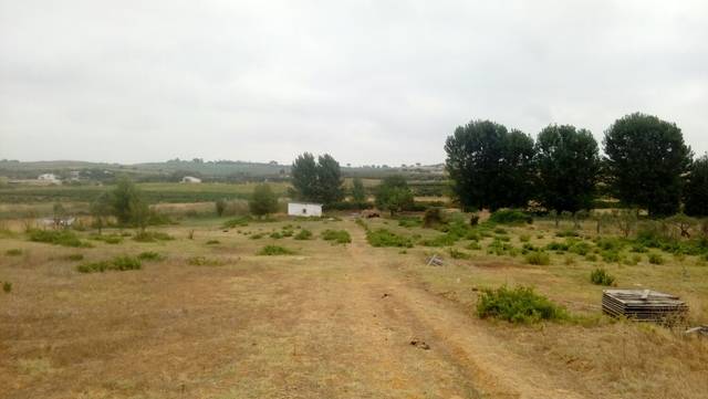 imagen 2 de Venta de finca en Bollullos Par del Condado (Huelva)