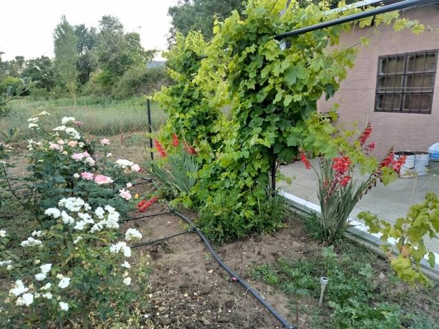 imagen 1 de Venta de Huerto en Arén (Huesca)