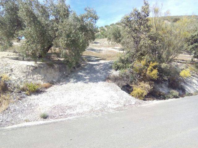 imagen 1 de Venta de finca en Alcalá la Real (Jaén)