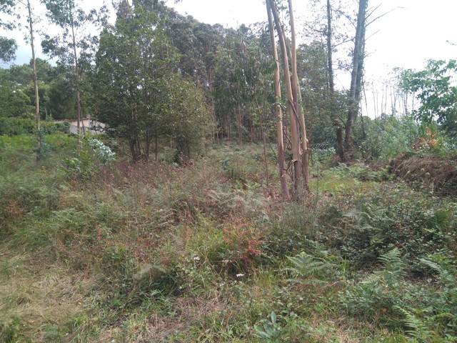 imagen 1 de Venta de parcela en Altamira (La Coruña)