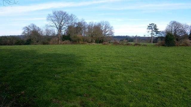imagen 1 de Venta de finca en Curtis (La Coruña)