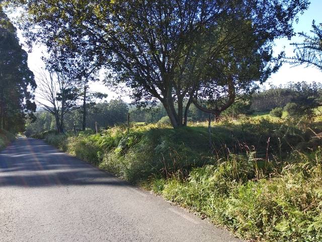 imagen 1 de Venta de finca en San Sadurniño/Saturnino (La Coruña)