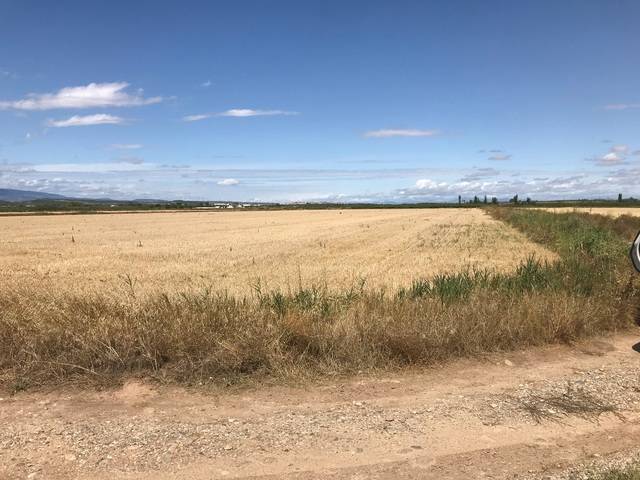 imagen 1 de Venta de finca en Calahorra (La Rioja)