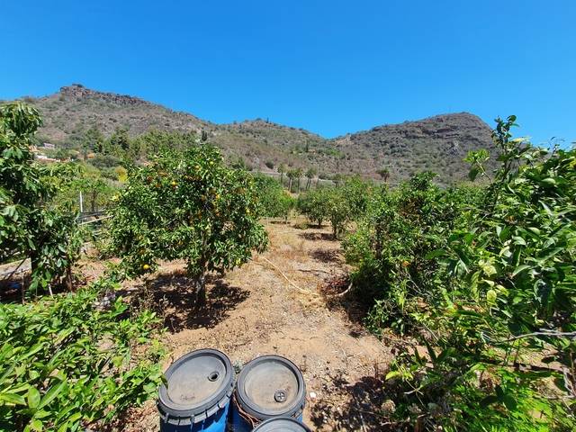 imagen 1 de Venta de estupenda finca en Santa Brígida (Las Palmas)