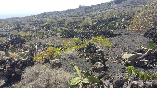 imagen 1 de Venta de finca en Haría (Las Palmas)