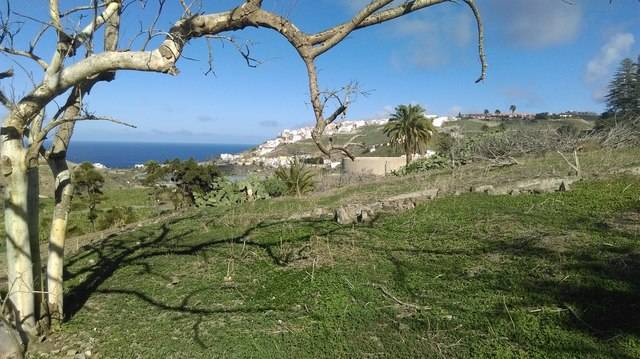 imagen 1 de Venta de finca en Las Palmas de Gran Canaria.