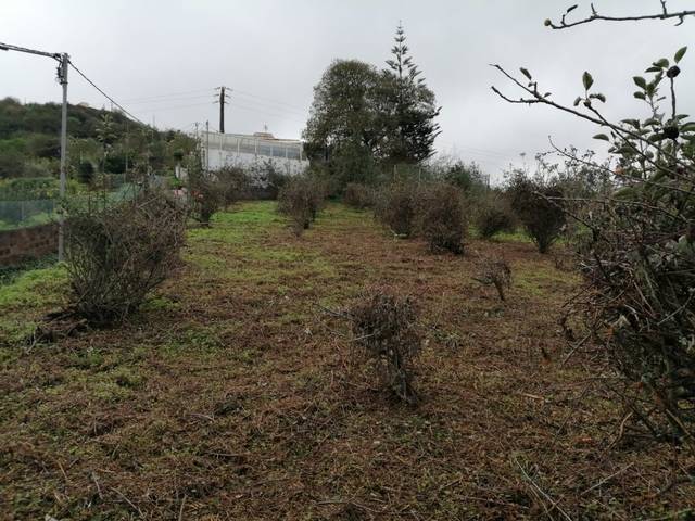 imagen 1 de Venta de finca en Valleseco (Las Palmas)
