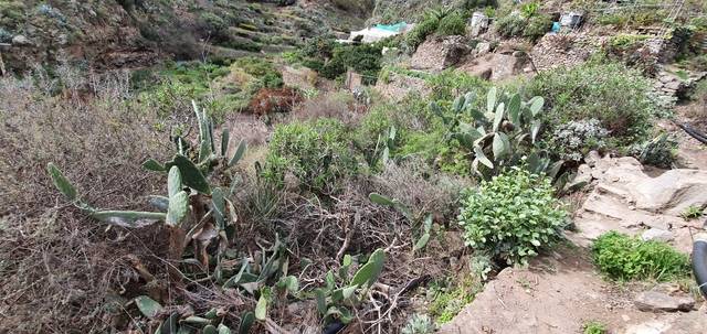 imagen 1 de Venta de parcela en Valle de Casares (Las Palmas)