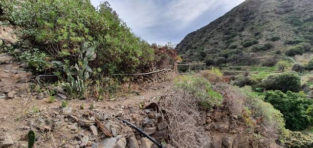 imagen 1 de Venta de parcela en Valle de Casares (Las Palmas)