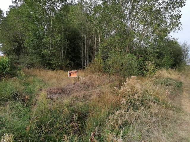imagen 1 de Venta de finca en Villadangos del Paramo (León)
