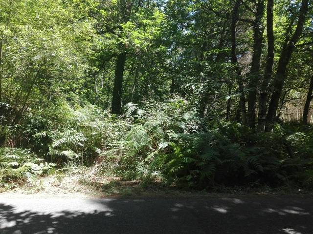 imagen 1 de Venta de preciosa finca en Lugo (Lugo)