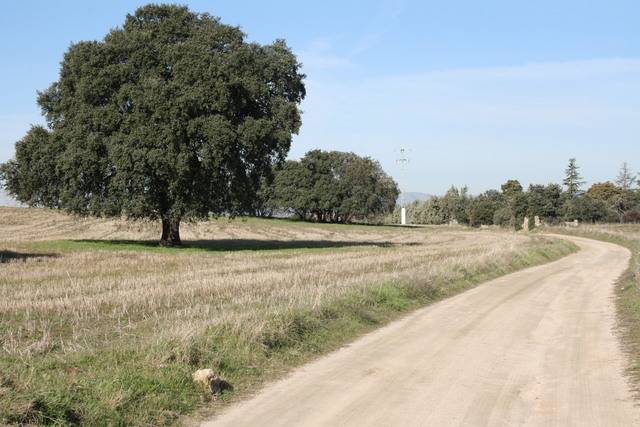 imagen 1 de Venta de terreno en Brunete (Madrid)