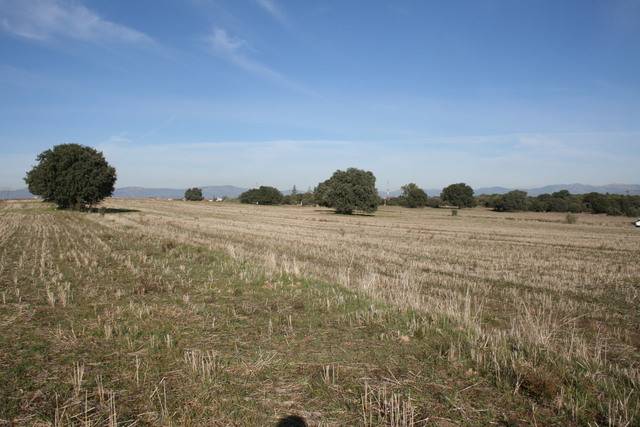 imagen 1 de Venta de terreno en Brunete (Madrid)