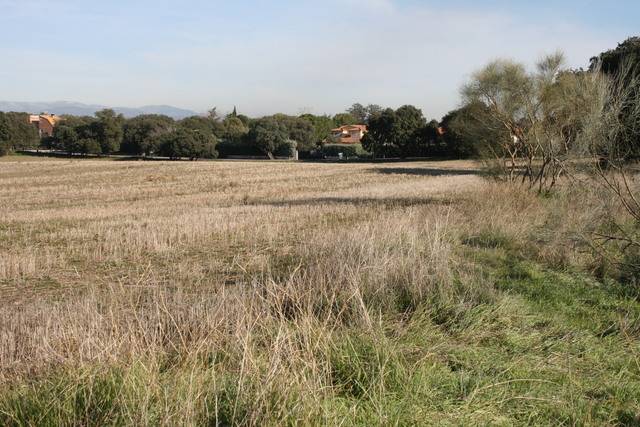 imagen 1 de Venta de finca en Brunete (Madrid)