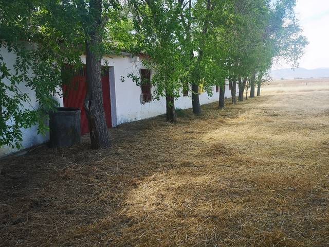 imagen 1 de Venta de estupenda finca en Talamanca de Jarama (Madrid)