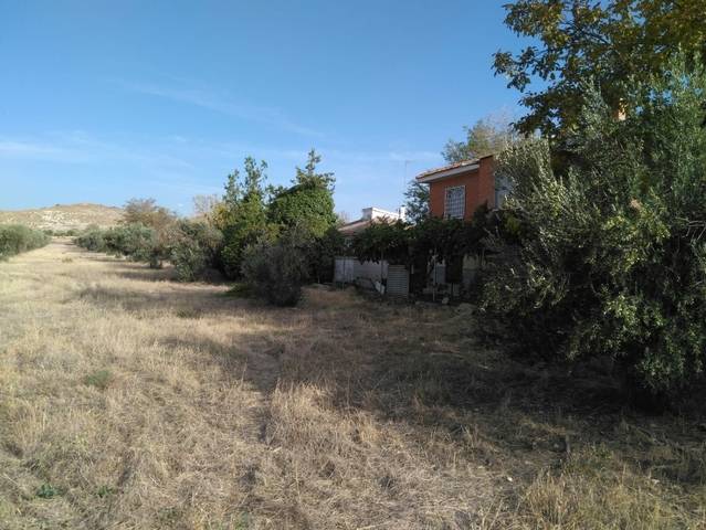 imagen 1 de Venta de finca en Chinchón (Madrid)