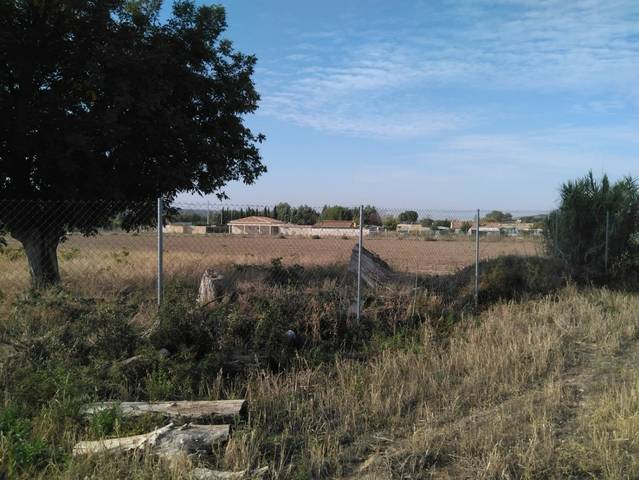 imagen 1 de Venta de finca en Chinchón (Madrid)