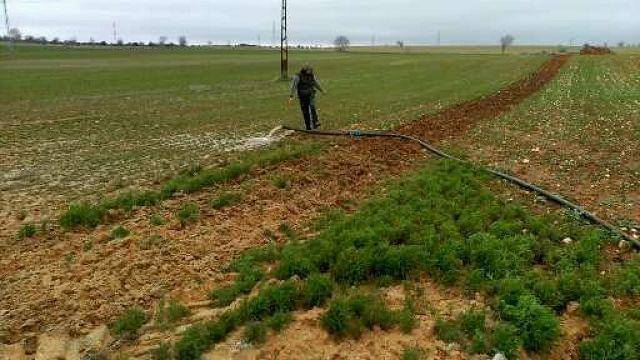 imagen 1 de Venta de finca en Alcalá de Henares (Madrid)