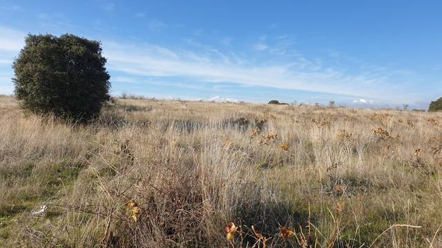 imagen 1 de Venta de finca en Madrid (Madrid)