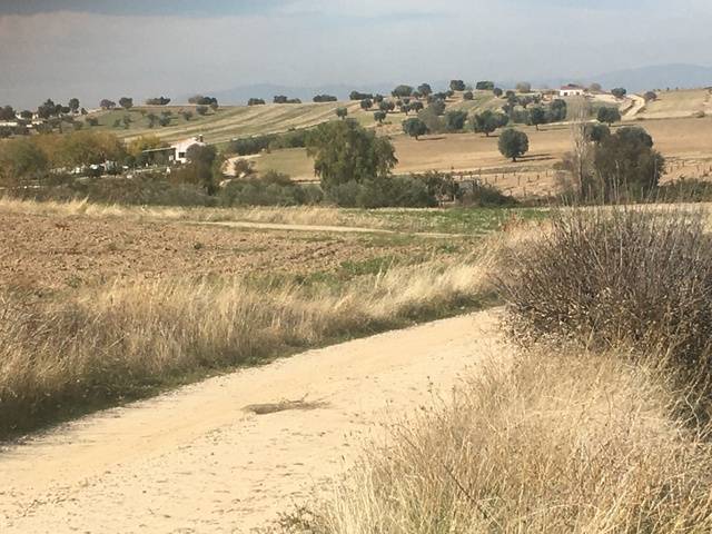 imagen 1 de Venta de terreno en Navalcarnero (Madrid)