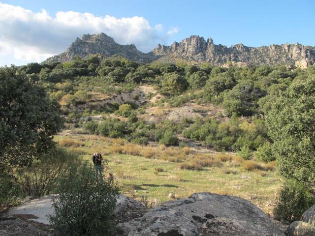 imagen 1 de Venta de estupenda finca en La Cabrera (Madrid)