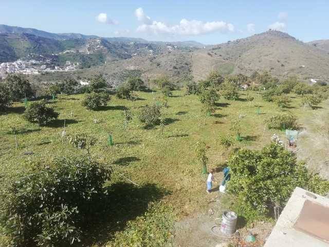 imagen 1 de Venta de terreno en Vélez-Málaga (Málaga)