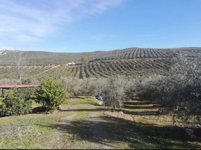 imagen 1 de Venta de magnífico terreno en Las Mellizas (Málaga)