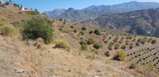 imagen 1 de Venta de finca en Torrox (Málaga)