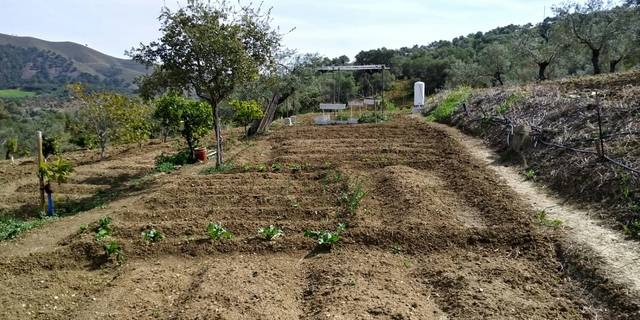 imagen 1 de Venta de estupenda finca en Casarabonela (Málaga)