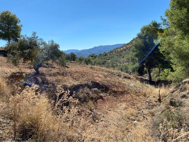 imagen 1 de Venta de terreno en Yunquera (Málaga)