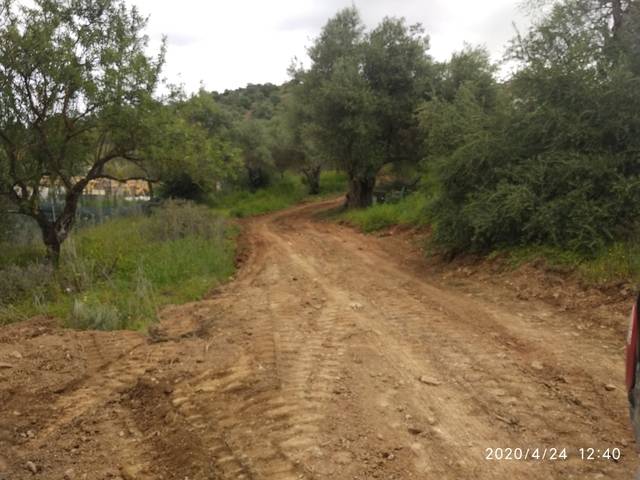 imagen 1 de Venta de finca olivar en Coín (Málaga)