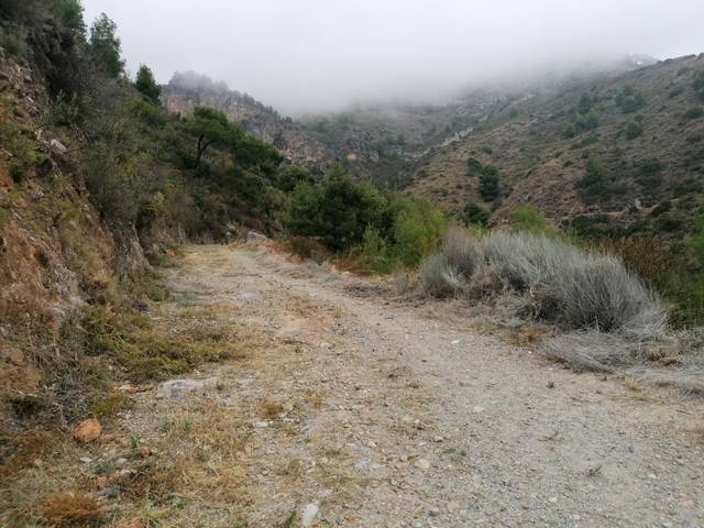 imagen 1 de Venta de finca en Nerja (Málaga)