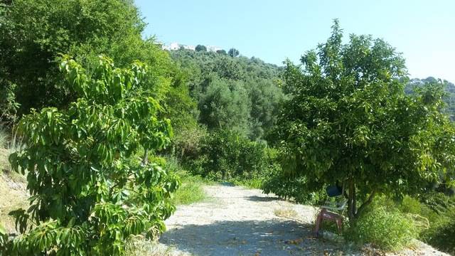 imagen 1 de Venta de finca en Benarrabá (Málaga)