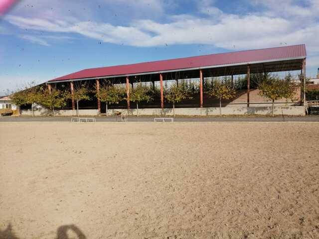imagen 1 de Venta de hípica en Tudela